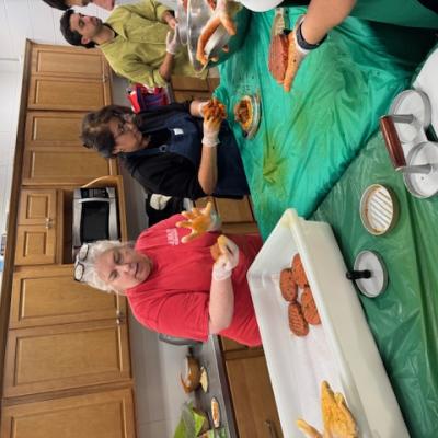 Img 9962